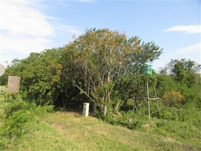0 Bedroom Property for Sale in Bathurst Eastern Cape